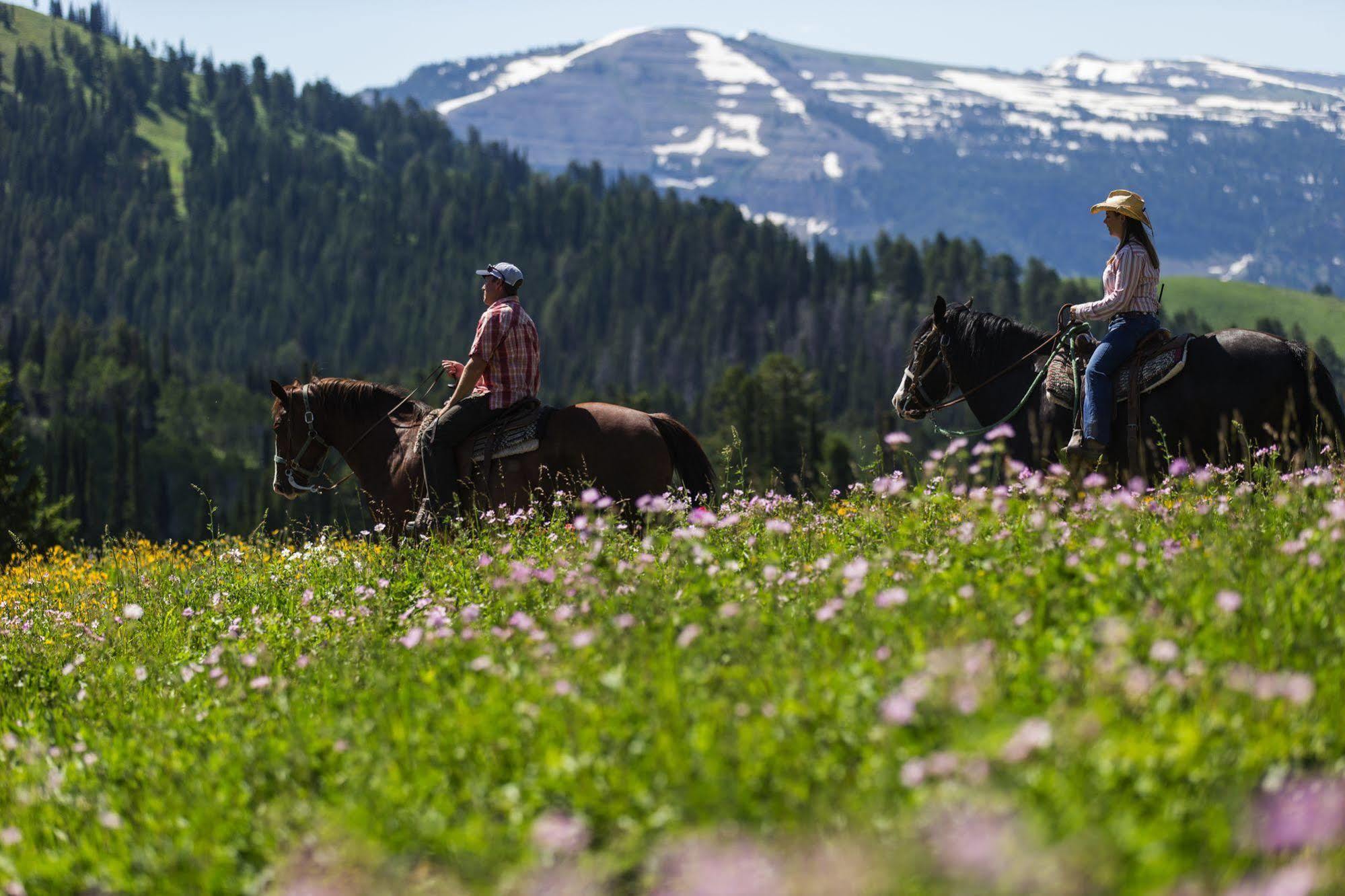 Sioux Lodge By Grand Targhee Resort Alta Luaran gambar